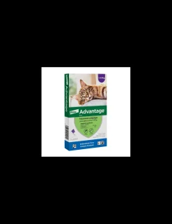 Gato 4 a 8 kg.*Advantage Best