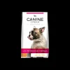 Puppy 12 kg.*Canine Creek Clearance