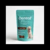 Canela Jengibre 180 grs.*Dental Plus Hot