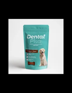 Canela Jengibre 180 grs.*Dental Plus Hot