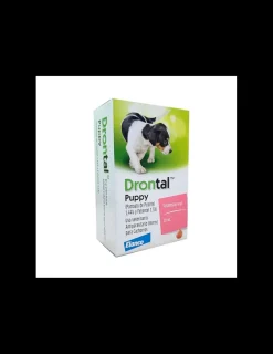 Puppy*Drontal Clearance