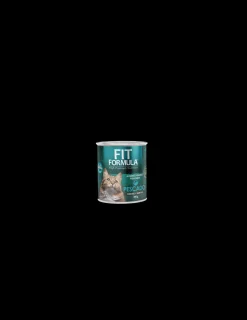 Gato Lata Pescado 290 grs.*Fit Formula Hot