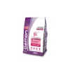 Kitten 2 kg.*Gemon Online