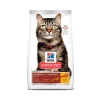 Gato Adulto 7+ Hairball 1,58 kg.*Hills Discount