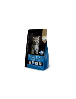 Gatitos 2 kg.*Matisse Sale