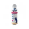 RF Gato 330 ml.*Oralade New