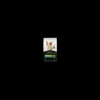 Gato Sensitive Skin & Stomach 3 kg.*Pro Plan Online