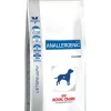 Anallergenic Perro 8 kg.*Royal Canin Outlet