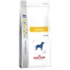 Cardiac Perro 10 kg.*Royal Canin Online