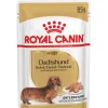 Dachshund Pouch 85 grs.*Royal Canin New
