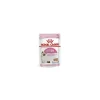 Kitten Pouch 85 grs.*Royal Canin Discount