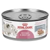 Mother & Babycat Lata 145 grs.*Royal Canin New