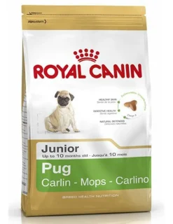 Pug Puppy 2,5 kg.*Royal Canin Sale