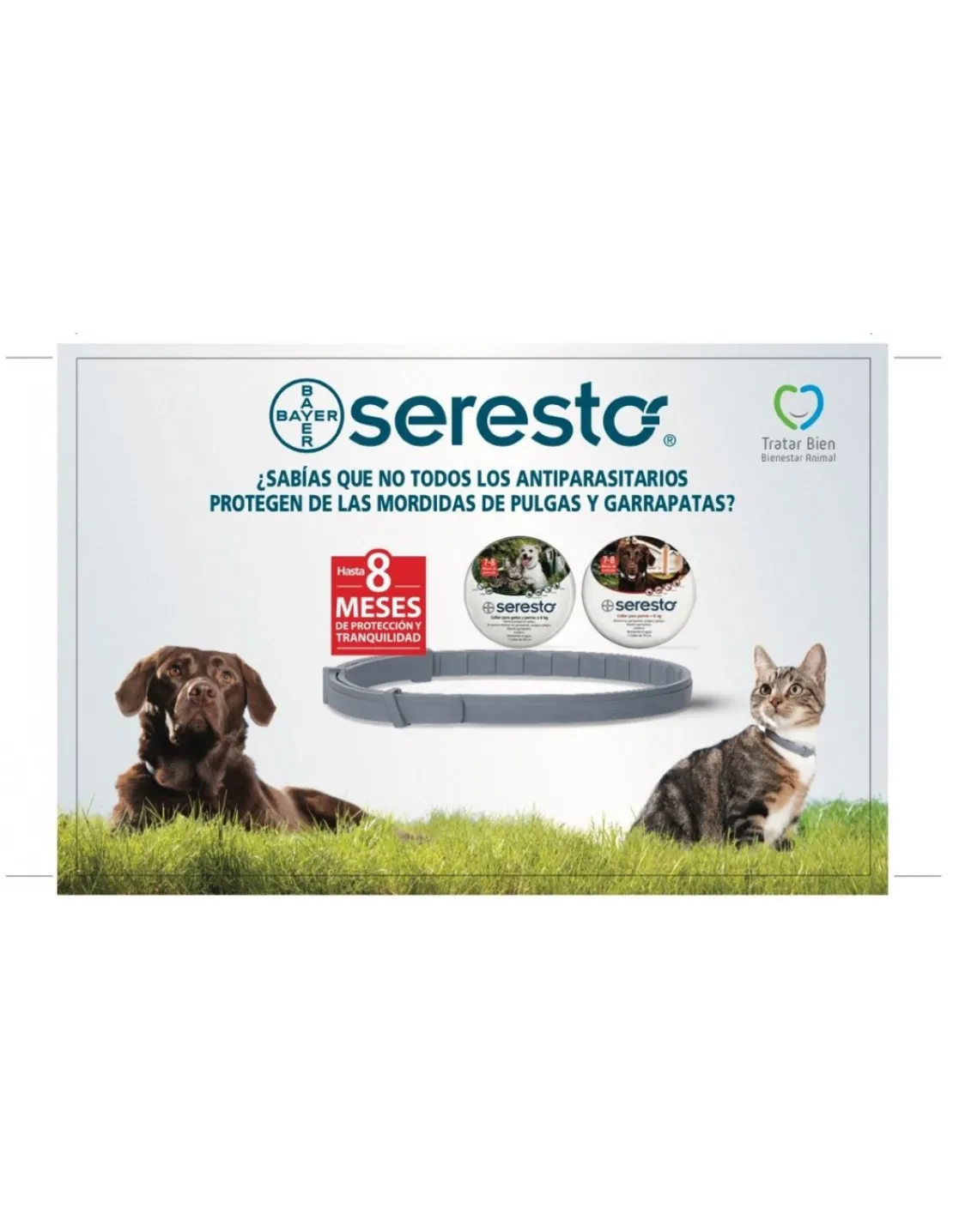 Collar Antiparasitario Mas de 8 Kg.*Seresto Outlet