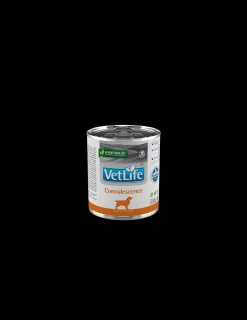 Convalescence Perro Lata 300 grs.*Vet Life Hot