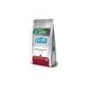 Gastrointestinal Gato 2 kg.*Vet Life Outlet